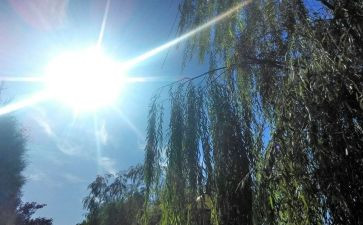 科学《天气预报》教案推荐5篇