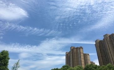 雨过天晴作文500字5篇