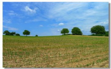 田野上的春天作文5篇