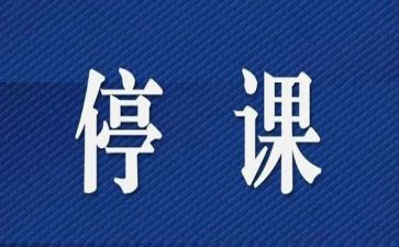 停课心得体会7篇