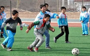 幼儿园体育活动方案精选5篇