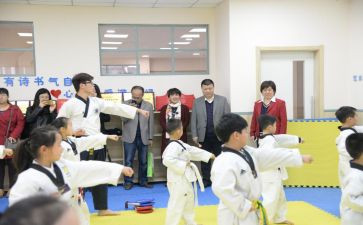 小学团工作计划总结优秀5篇