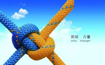 团结协作心得体会2023模板5篇