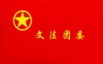 分团委工作总结报告6篇