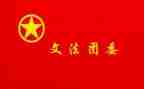 分团委工作总结报告6篇