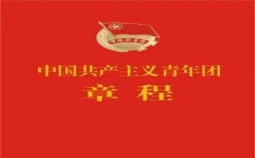 团章的心得体会6篇