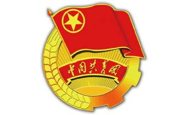 团支书的学期总结7篇