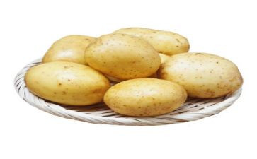 收土豆作文参考7篇