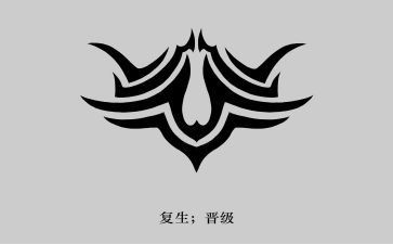 龙的图腾读后感6篇