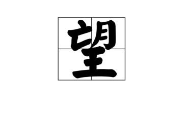 我盼望的作文最新7篇