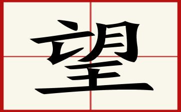 我的小愿望作文8篇
