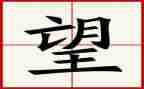 愿望的愿望的实现读后感5篇
