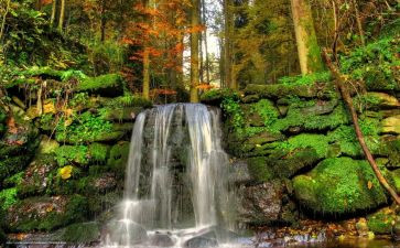 《忘不了他》作文5篇