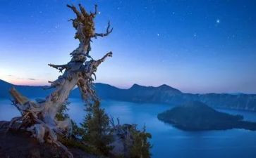 忘不了那件事的作文推荐7篇