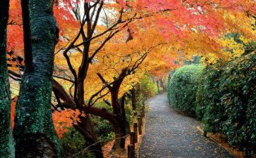 忘不了优秀作文8篇