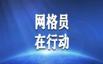 网格员网格化的工作总结参考6篇