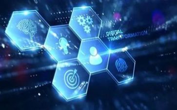 网络播活动方案5篇