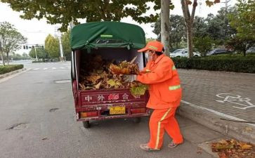 环卫工作总结及工作计划6篇