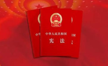 做宪法小卫士活动总结8篇