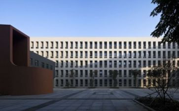 小学语文教师年终述职报告8篇
