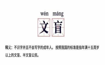 假文盲假文盲作文优质6篇