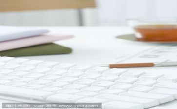 文员的自我鉴定范文精选7篇