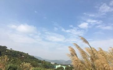 我的一天开学版作文5篇