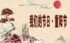 我们的节日系列活动总结8篇