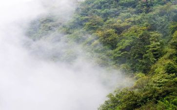 雾读后感500字优秀6篇
