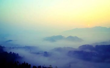 《雾》读后感600字6篇