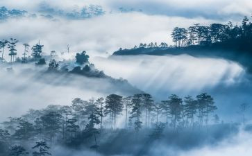 雾的读后感800字优质8篇