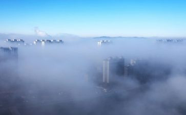 雾读后感500字通用8篇