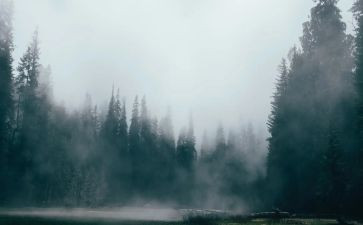 春天的雾作文600字优秀6篇