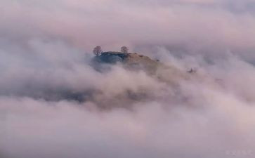 雾都的孤儿读后感500字7篇