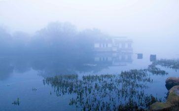 春天的雾作文600字精选6篇