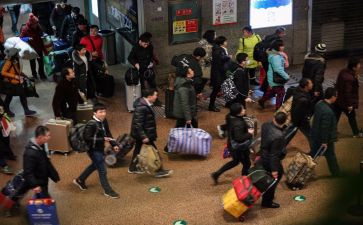 2024年秋季学期园务工作总结7篇