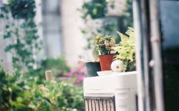 《午后》作文7篇