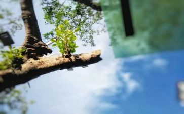 午后的作文推荐5篇