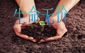 友谊无价的作文5篇