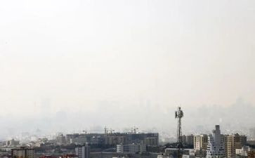 砷污染调查报告推荐7篇
