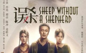 误杀观后感7篇