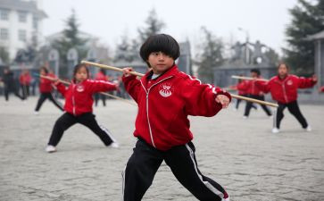 学武术的心得体会5篇