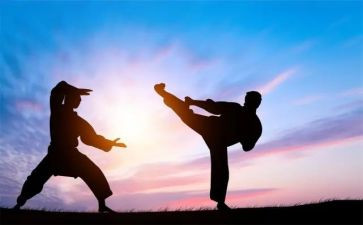 学武术的作文8篇