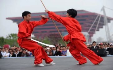 学武术的作文通用6篇