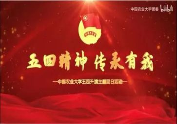 2024五四作文优质7篇