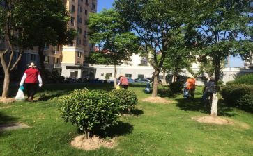 物业小区主任年终总结精选6篇