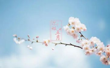 2024幼儿园大班五月份工作计划7篇
