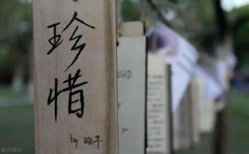 爱惜粮食演讲稿参考7篇