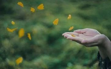 珍惜粮食倡议书模板8篇