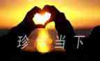 珍惜青春讲话稿5篇